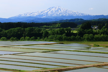 田園風景