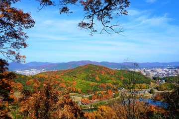 東広島駅周辺の一望