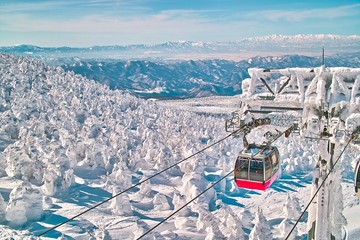 白石蔵王の樹氷原