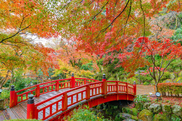 紅葉を楽しむ熱海梅園