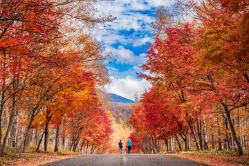 【とどきっぷブログ】軽井沢の紅葉