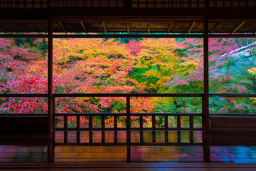 七色の森を京都の家屋から